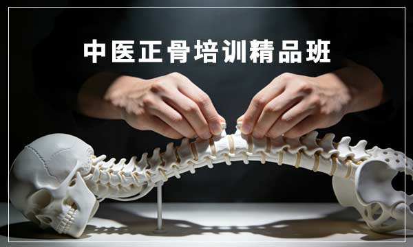 中医正骨+关节疼痛调理培训班
