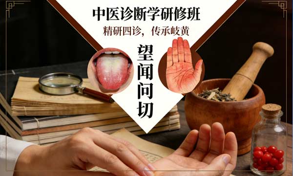中医诊断学之舌诊、手诊、脉诊研修班